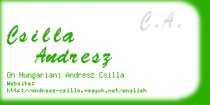 csilla andresz business card